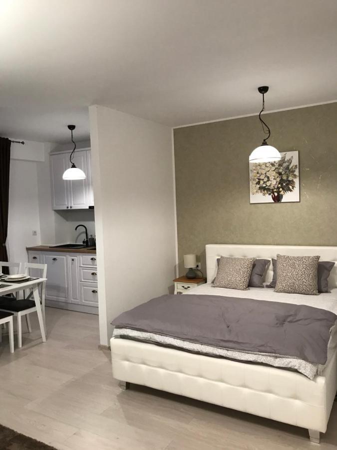 White Season Residence Μπρασόβ Εξωτερικό φωτογραφία